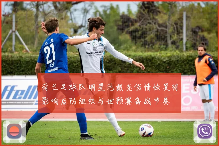 荷兰足球队明星范戴克伤情恢复将影响后防组织与世预赛备战节奏