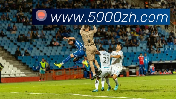 bobapp官网下载(中国)官网入口APP 体育赛事宣传图